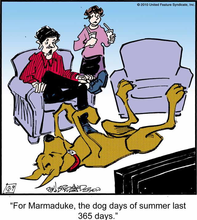 marmaduke
